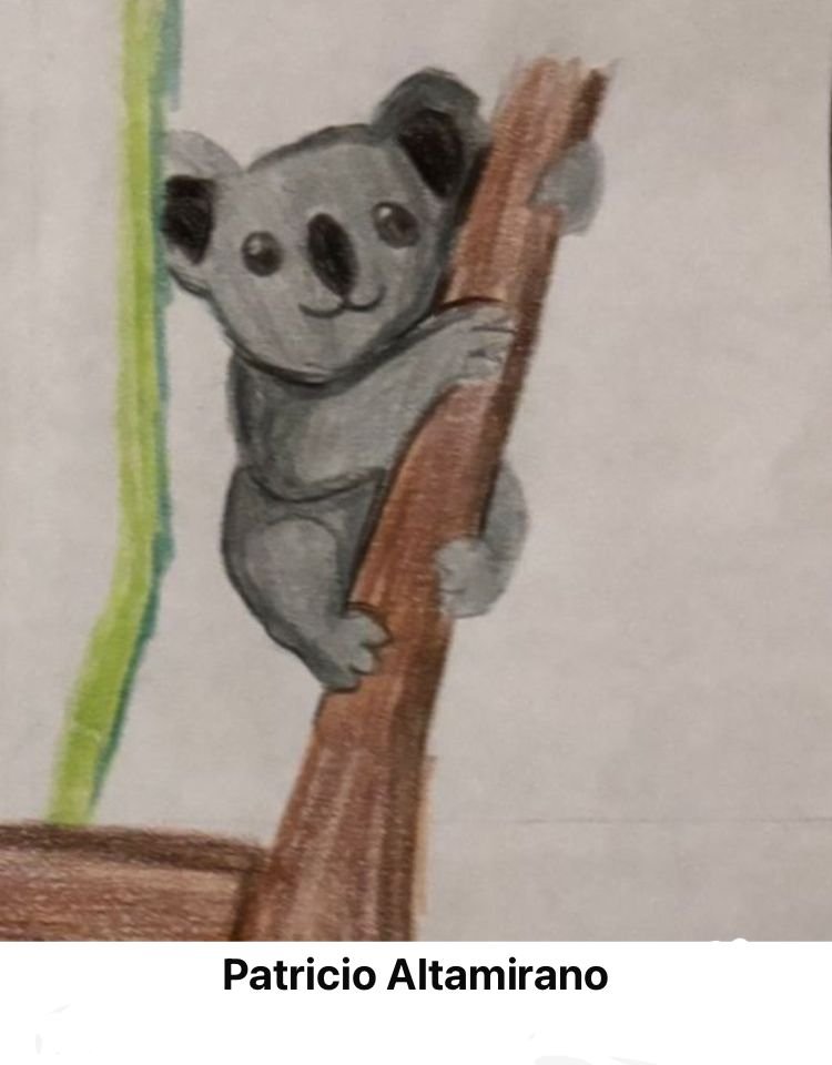 WhatsApp Image 2025-07-25 at 4.28.55 PM-3