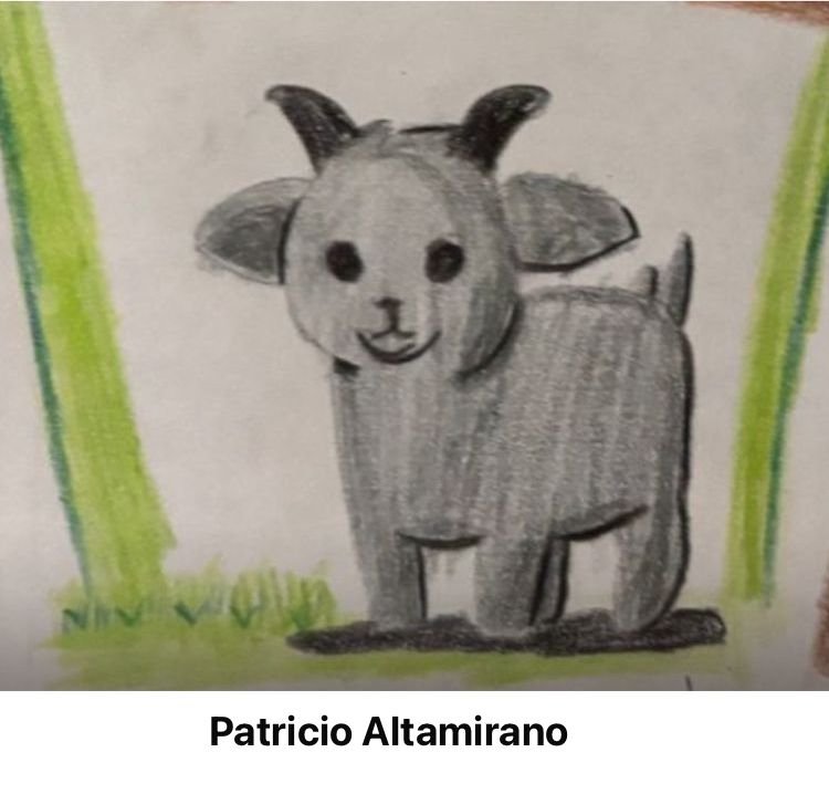 WhatsApp Image 2025-07-25 at 4.28.55 PM-4