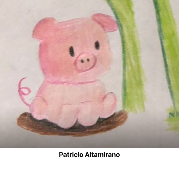 WhatsApp Image 2025-07-25 at 4.28.55 PM-5