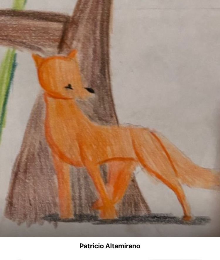 WhatsApp Image 2025-07-25 at 4.28.55 PM-6