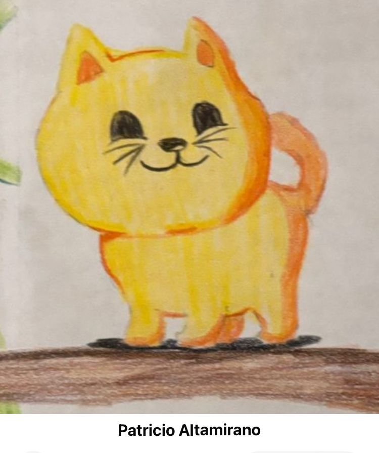 WhatsApp Image 2025-07-25 at 4.28.55 PM