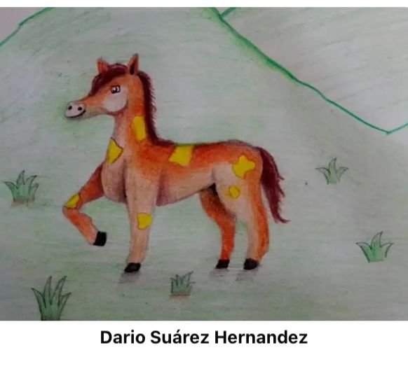 WhatsApp Image 2025-08-13 at 7.42.29 PM