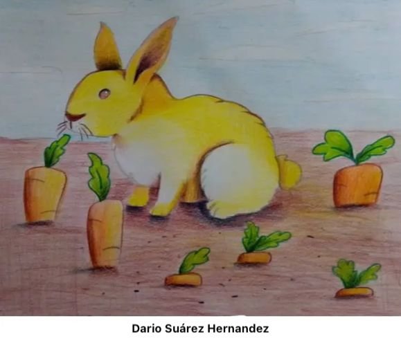 WhatsApp Image 2025-08-13 at 7.44.11 PM