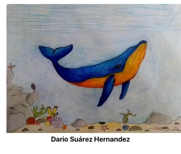 WhatsApp Image 2025-08-13 at 7.45.05 PM